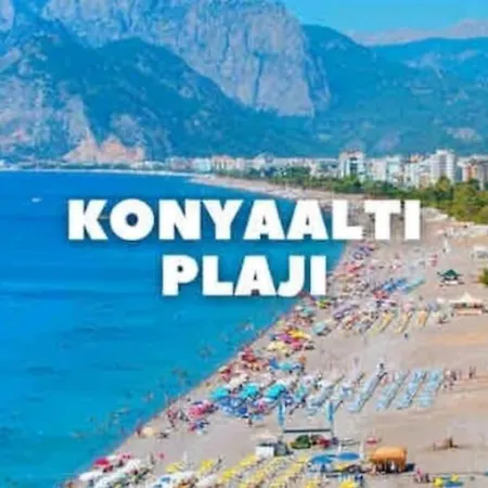 Perfect Family Golden Life فيلة دوسِميالتي